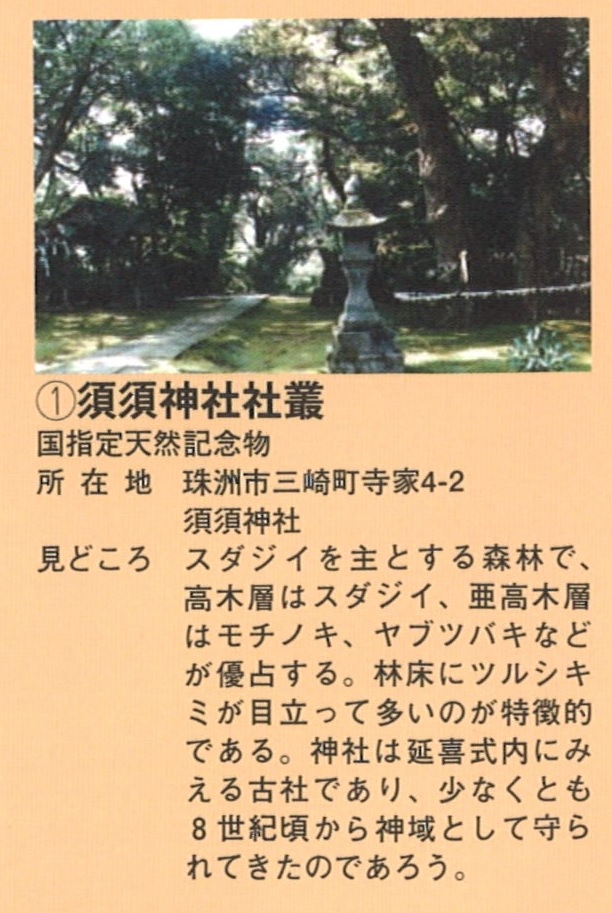 石川の巨樹紹介- 石川県巨樹の会